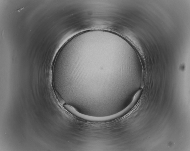 X0000098181340200805151132