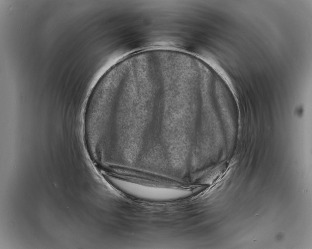 X0000098181341200805151132