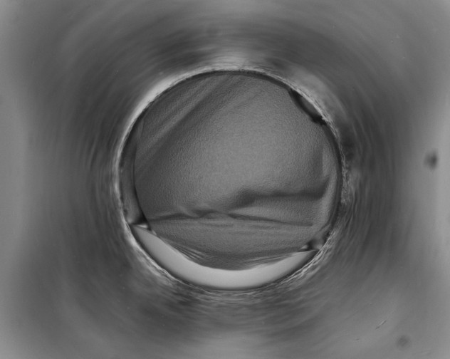 X0000098181342200805151132