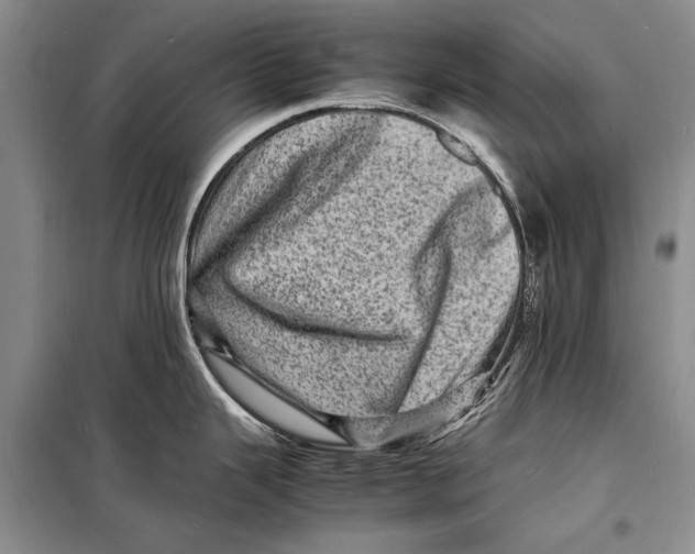 X0000098181343200805151132