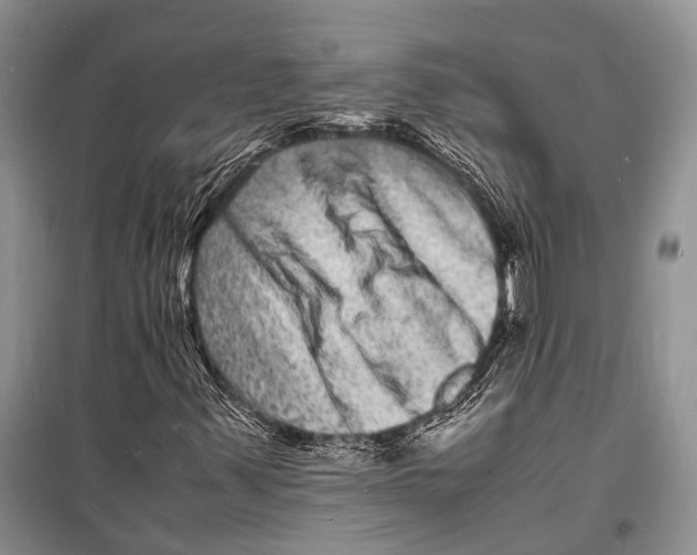 X0000098181347200805151131