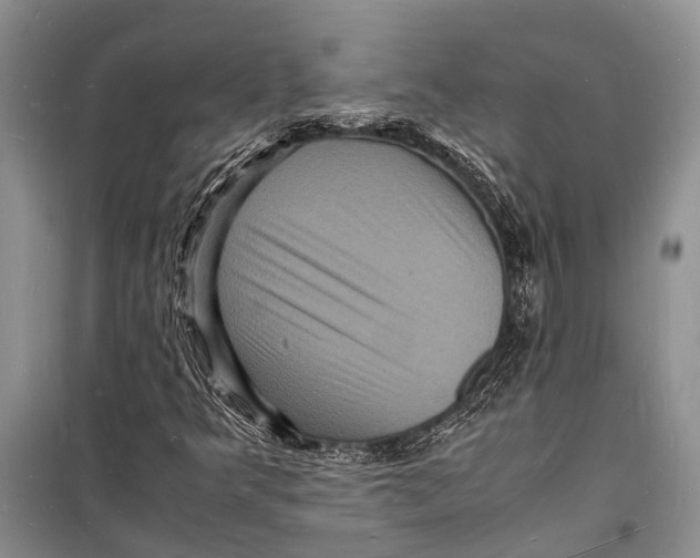 X0000098181349200805151131