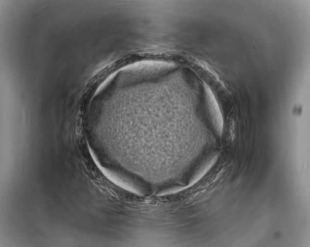 X0000098181350200805151131