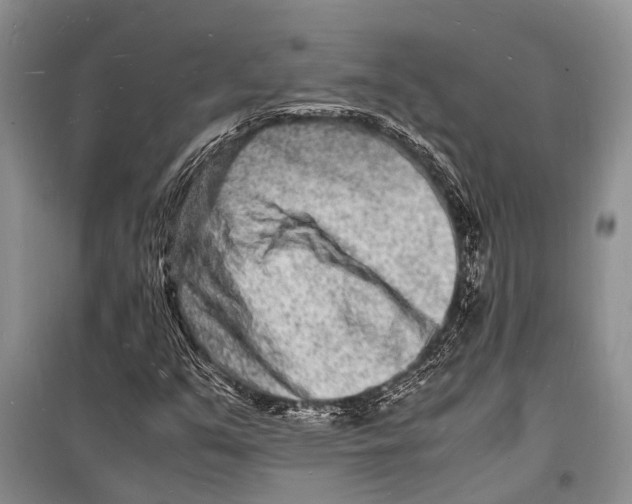 X0000098181351200805151131