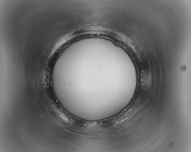 X0000098181352200805151131