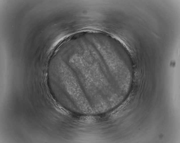 X0000098181355200805151131