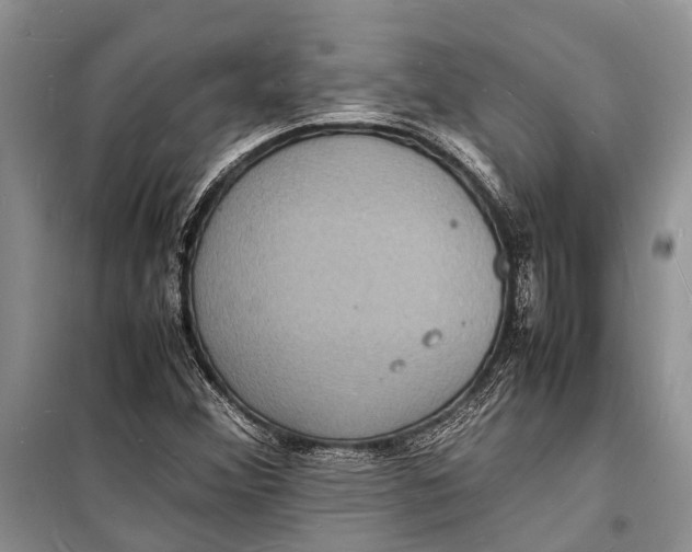 X0000098181356200805151131