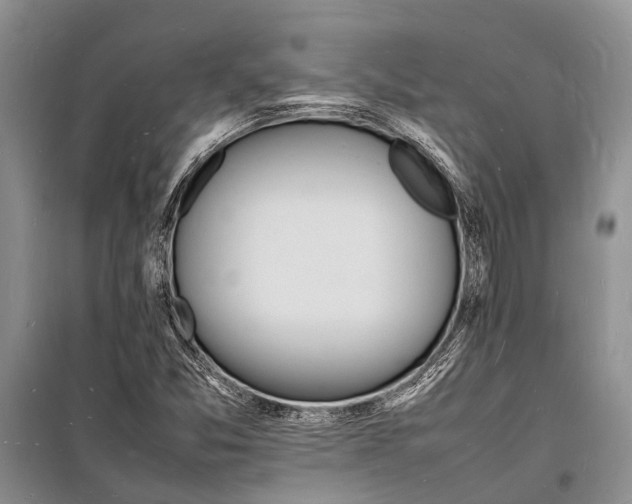 X0000098181357200805151131