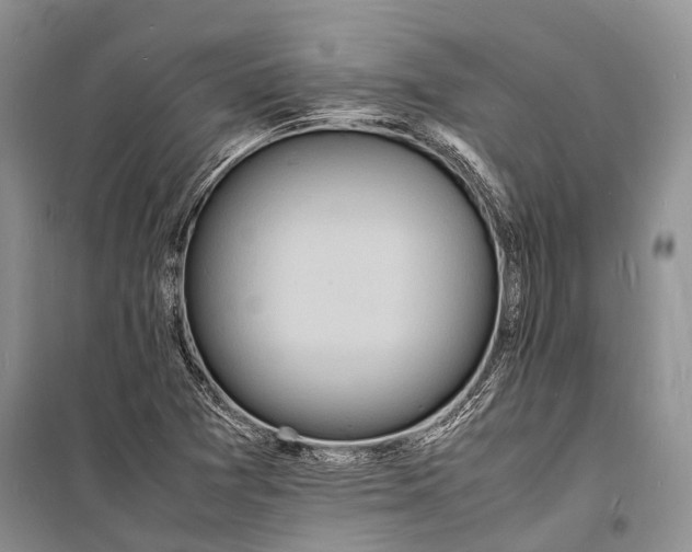 X0000098181361200805151131