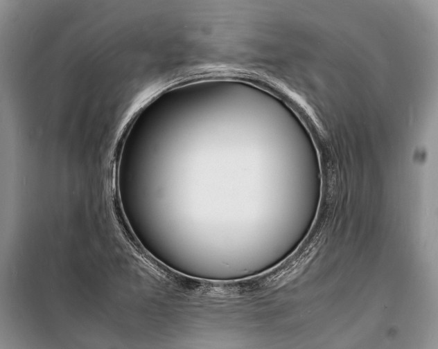 X0000098181365200805151130