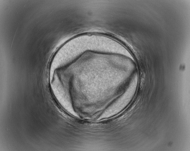 X0000098181367200805151130