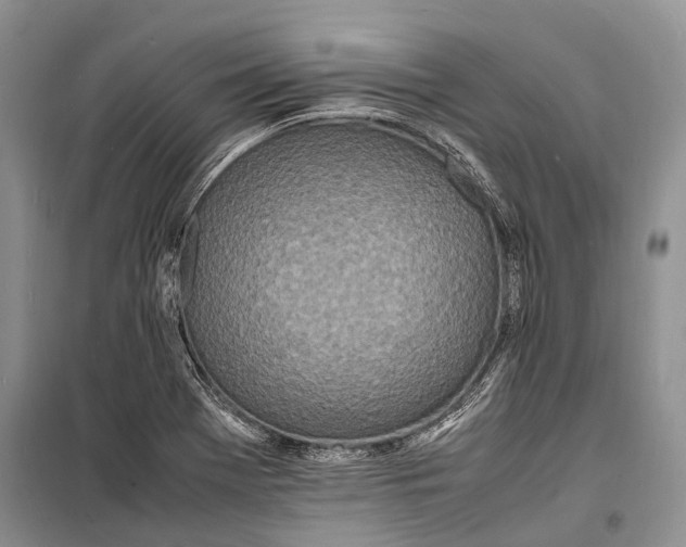 X0000098181369200805151130