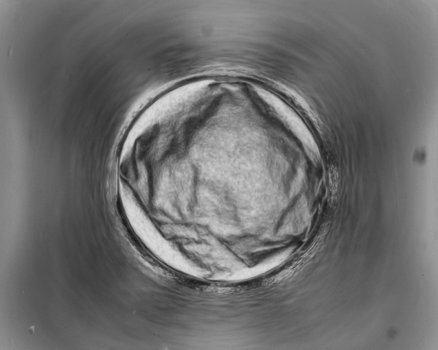 X0000098181371200805151130