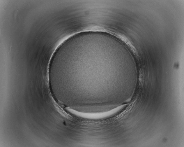 X0000098181372200805151130