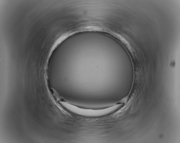 X0000098181373200805151130