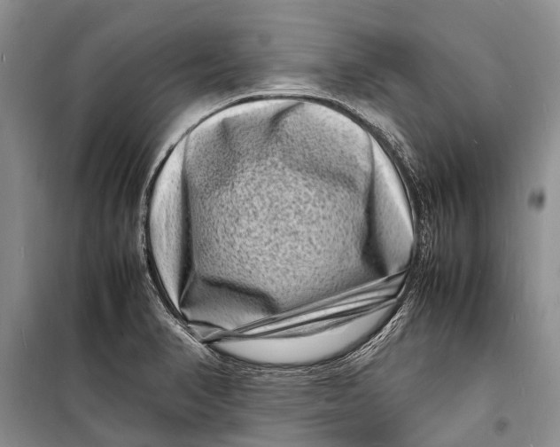 X0000098181374200805151130