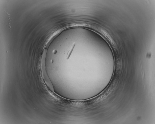 X0000098181377200805151130