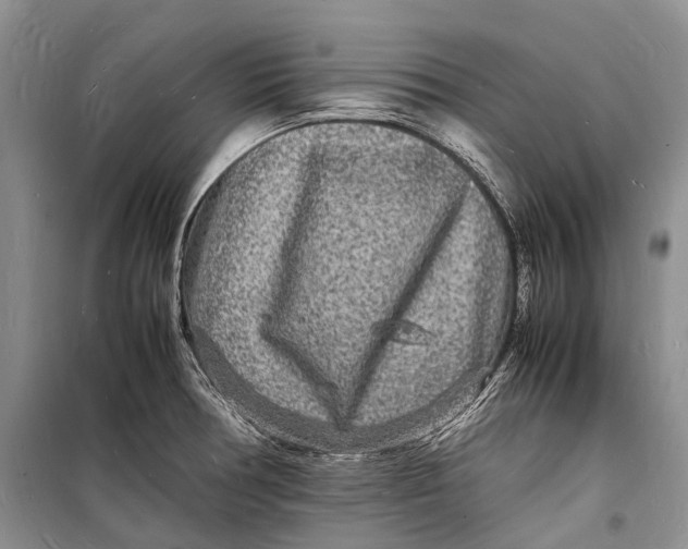 X0000098181378200805151130