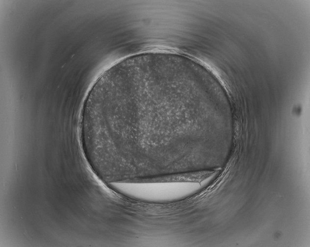 X0000098181379200805151130