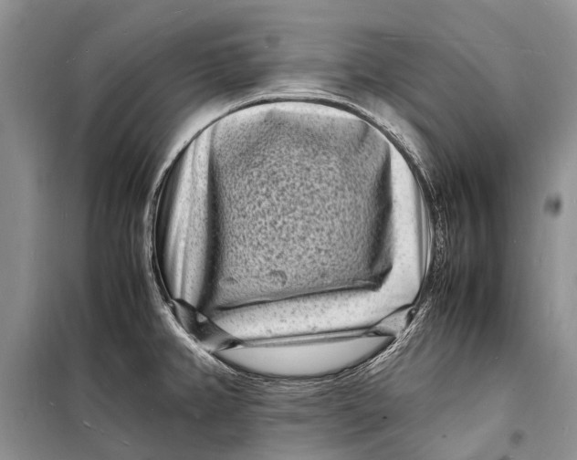 X0000098181382200805151130