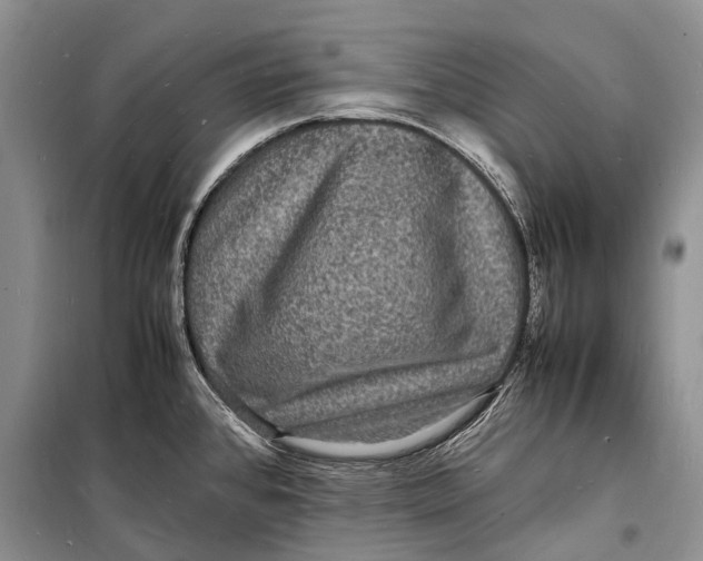 X0000098181384200805151130