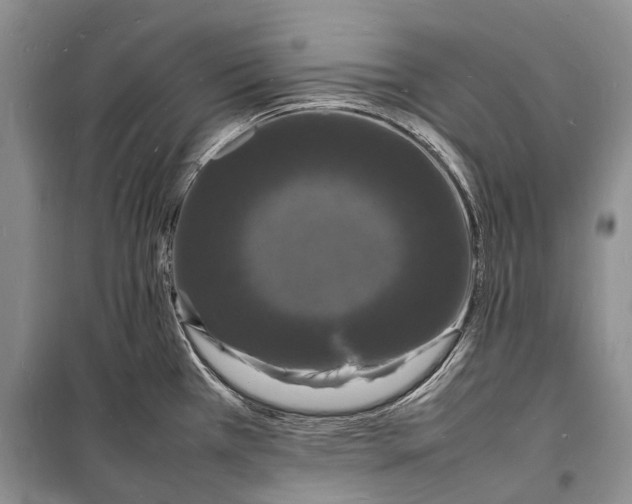 X0000098181385200805151130