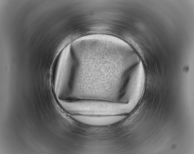 X0000098181386200805151130