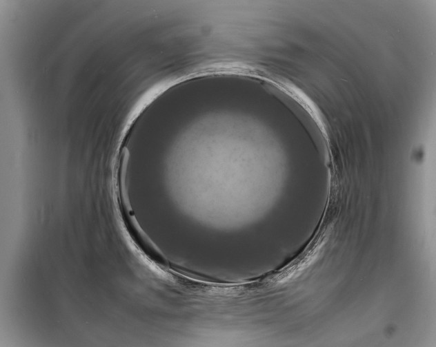 X0000098181389200805151130