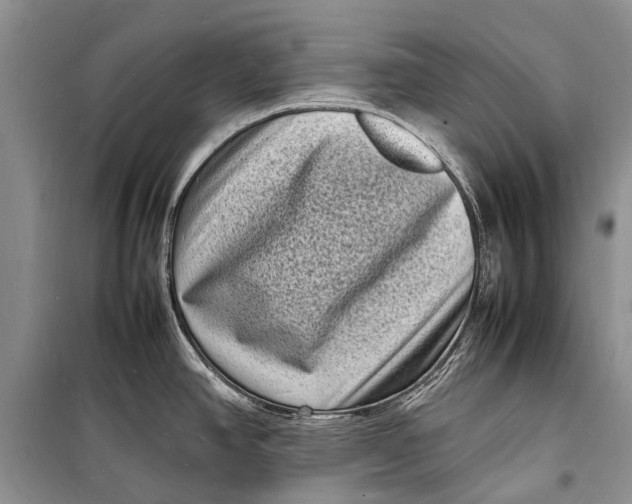 X0000098181390200805151130