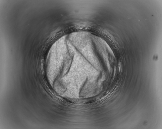 X0000098181396200805151129