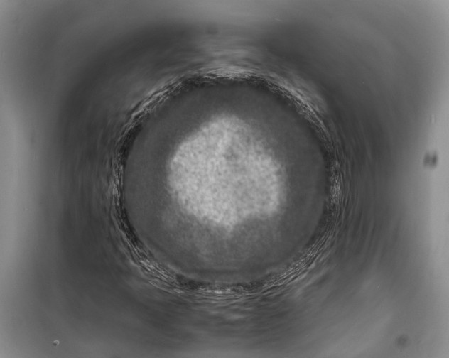 X0000098181397200805151129