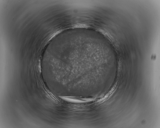 X0000098181401200805151129