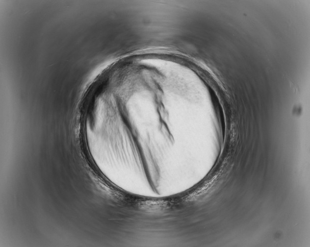 X0000098181406200805151129