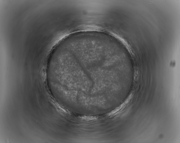 X0000098181407200805151129