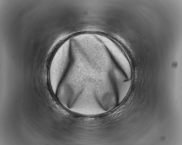 X0000098181408200805151129