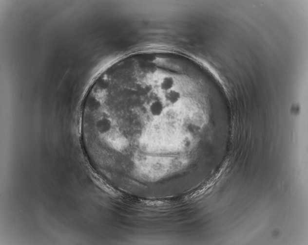 X0000098181413200805151130