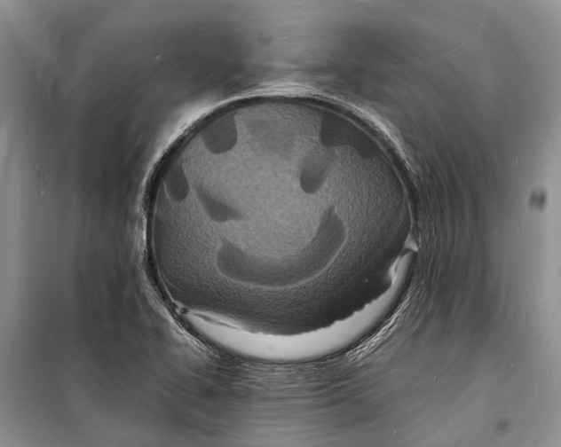 X0000098181414200805151130