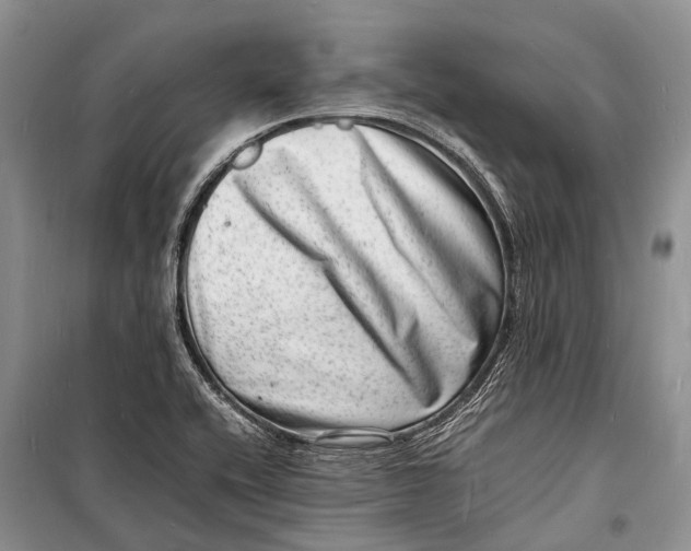 X0000098181416200805151130