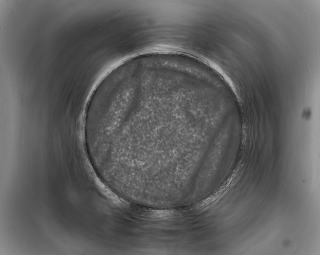 X0000098181421200805151130