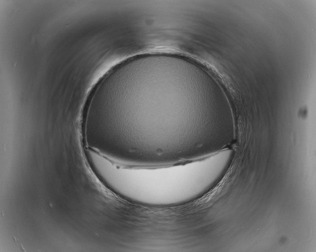 X0000098181422200805151130