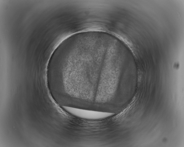 X0000098181423200805151130