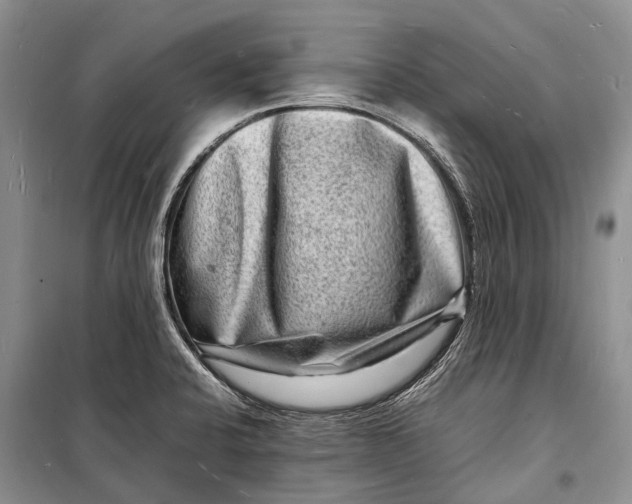 X0000098181424200805151130