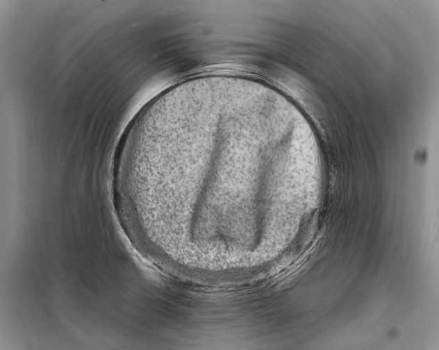 X0000098181426200805151130