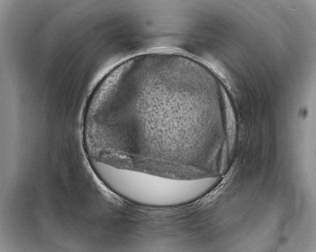 X0000098181430200805151130