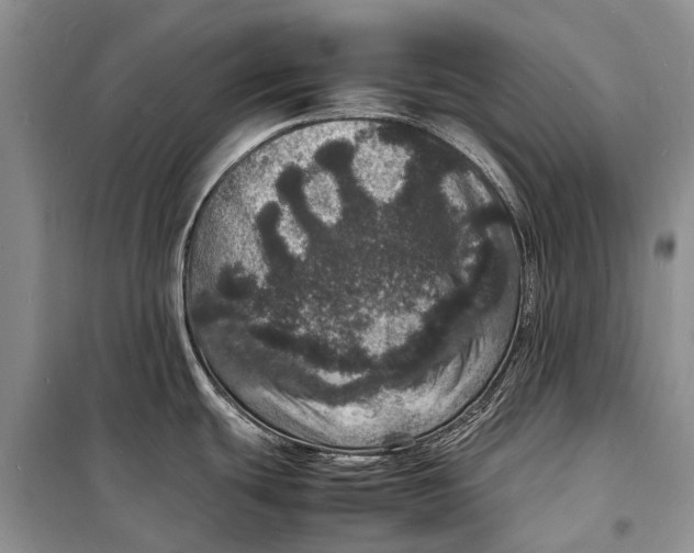 X0000098181439200805151130