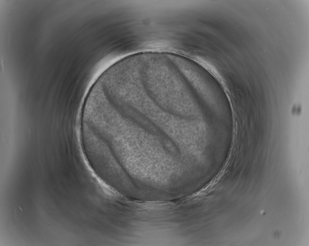 X0000098181440200805151130