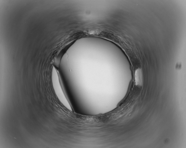 X0000098181443200805151129