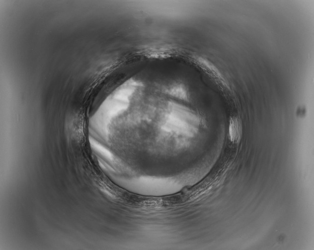 X0000098181444200805151129