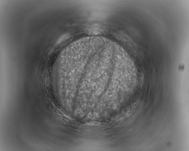 X0000098181446200805151129