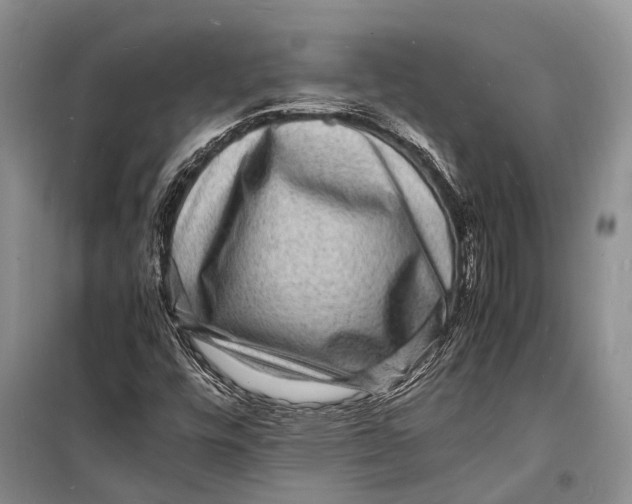 X0000098181448200805151129